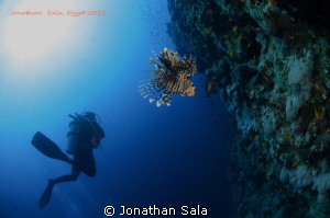 Lion Fish & Diver at Elphinstone Reef. Fish-Eye 10.5 mm by Jonathan Sala 